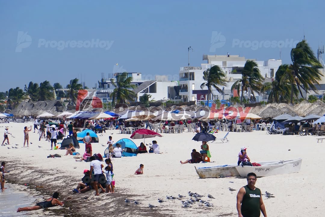 🔴 #ENTÉRATE: ANIMADO SÁBADO PLAYERO EN PROGRESO 🌊 GRAN AFLUENCIA DE FAMILIAS Y TURISTAS DISFRUTANDO DEL MAR Y EL SOL EN EL MALECÓN Las playas de Progreso registraron una excelente afluencia este s