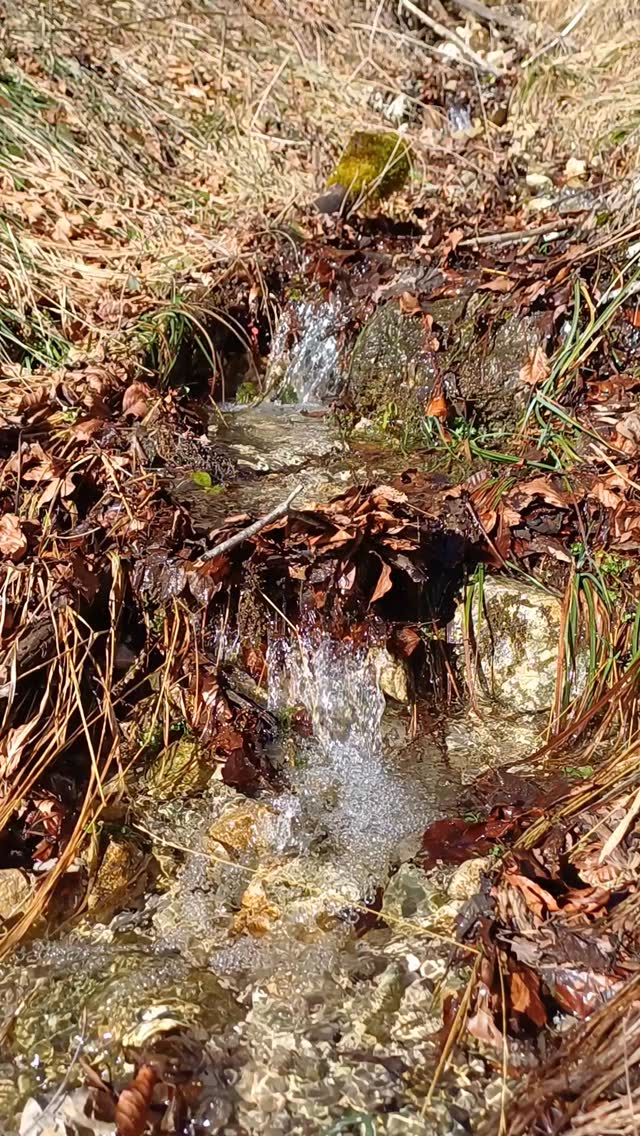 Hörst du das? Das ist der Sound vom Frühling beim Stiegenwirt. 🌿💧
Wenn das Eis schmilzt und der Himmel in Palfau so richtig strahlt, ist es Zeit für eine kleine Auszeit. Markiere jemanden, der diese Ruhe jetzt gebrauchen könnte! ✨
#stiegenwirt_palfau #palfau #gesäuse #naturparksteirischeeisenwurzen #gesäusepartner