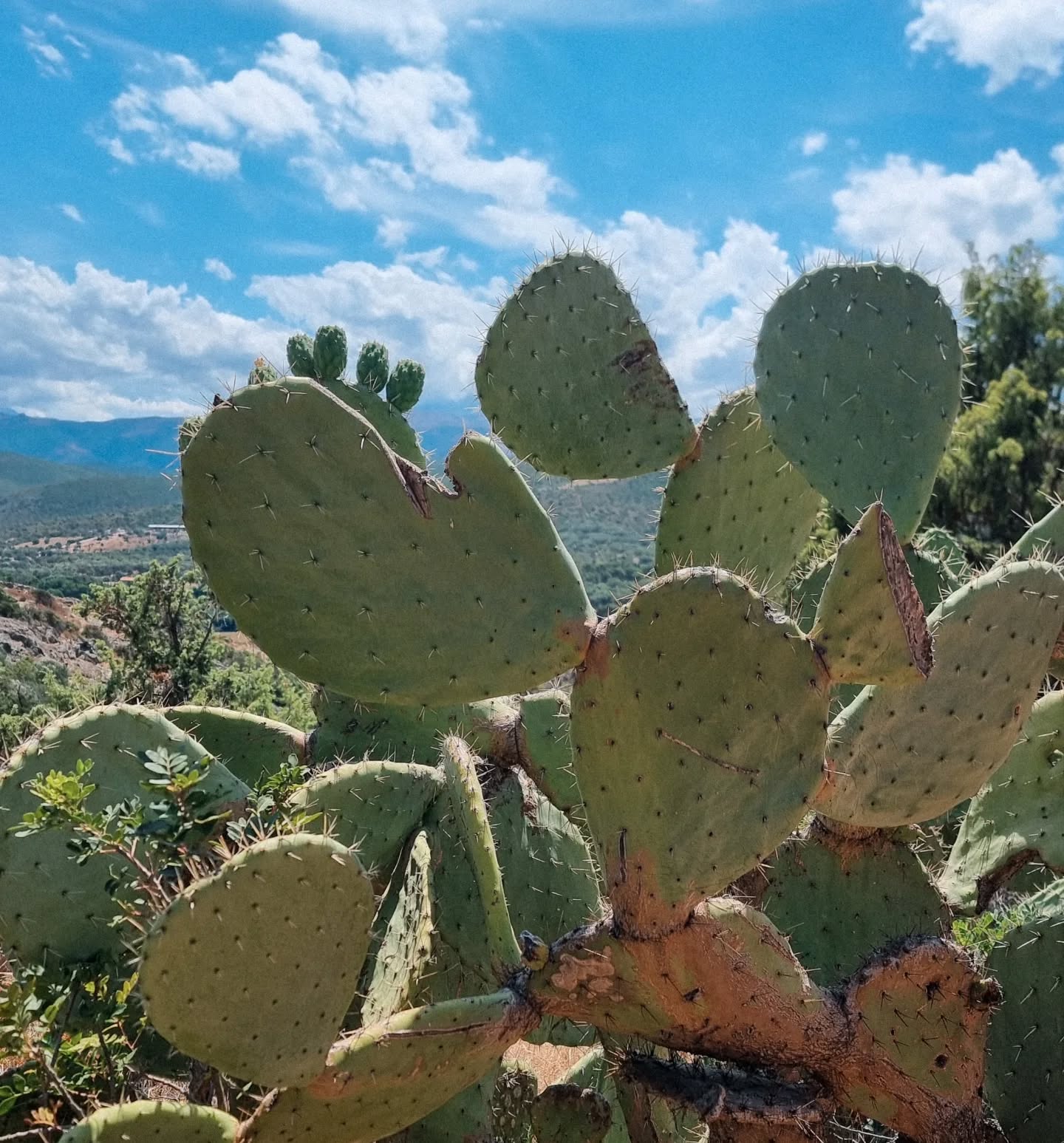 Oh Korsika, du bist immer noch so schön!
Unsere ersten Tage auf der Insel haben uns wieder in den Korsika Vibe versetzt :
Toller Stellplatz, glasklare Buchten, Wanderung mit Meerblick und alles bei perfektem Wetter 🌞
Achja, und Lotti weiß endlich, dass sie schwimmen kann 🐕
Wir freuen uns wahnsinnig auf die nächsten Wochen hier!
#korsika #urlaubmitkindern #reisenmitkindern #campingtipps #reiseblog