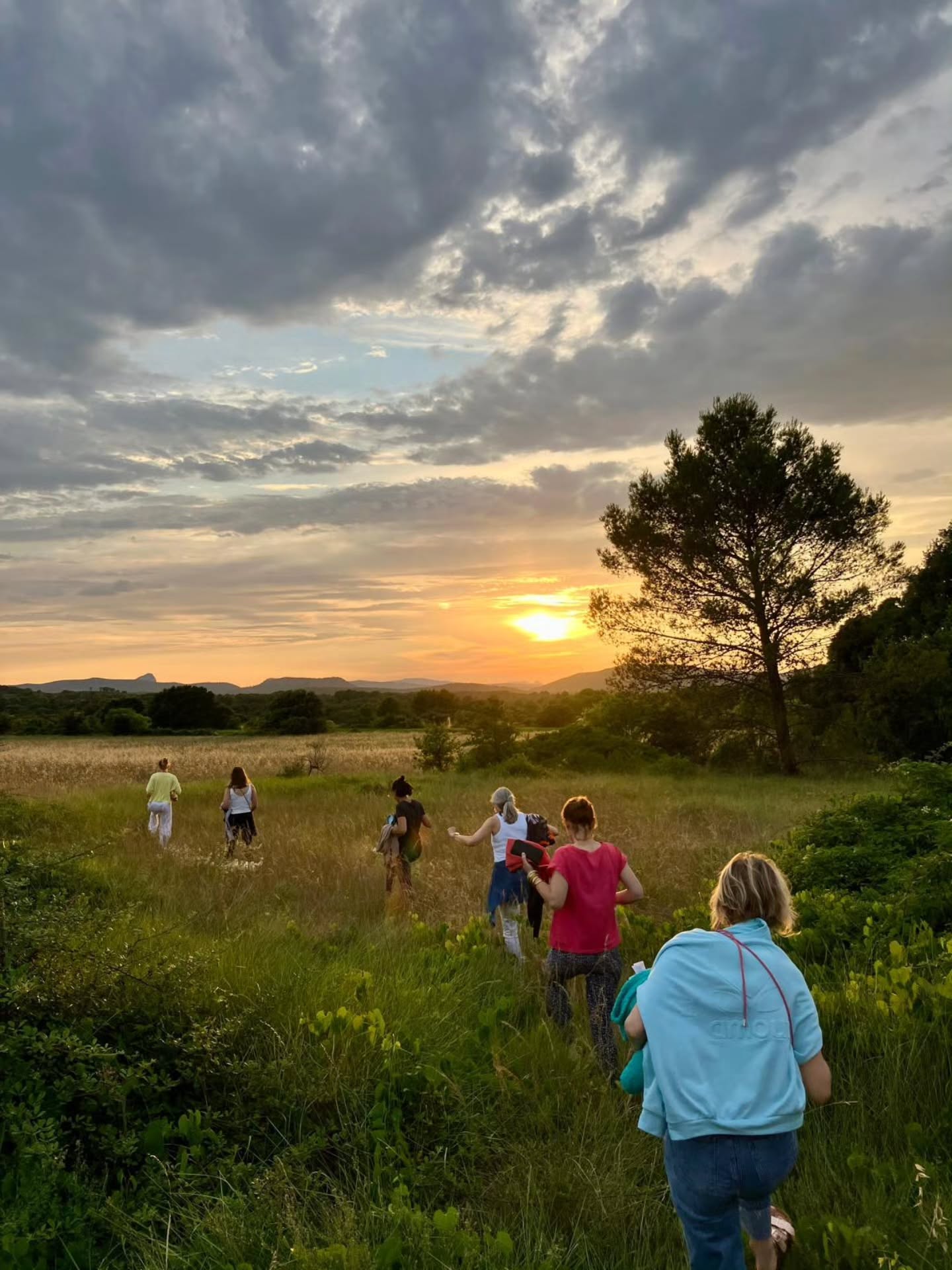 ✨🌻 Retour en images sur la retraite Shine – Spécial Été 🌞✨
En juillet dernier, Karen @lacabane.yoga.studio a guidé une retraite lumineuse à la Villa Jema, placée sous le signe du soleil, de l’énergie et de la joie.
Au programme :
🌞 Des pratiques de yoga revitalisantes
🌻 Des cercles de partage inspirants
🍃 Des balades au coucher du soleil et au bord de la mer
🥗 Des repas végétariens frais et colorés
💛 Des moments de rires, de danse et de connexion au bord de la piscine
Un grand merci à toutes les participantes qui ont apporté leur belle énergie et fait rayonner cette retraite ! ✨
Rendez-vous en octobre pour une nouvelle retraite yoga "Divine" pour honorer le féminin sacré ♀️ avec Karen