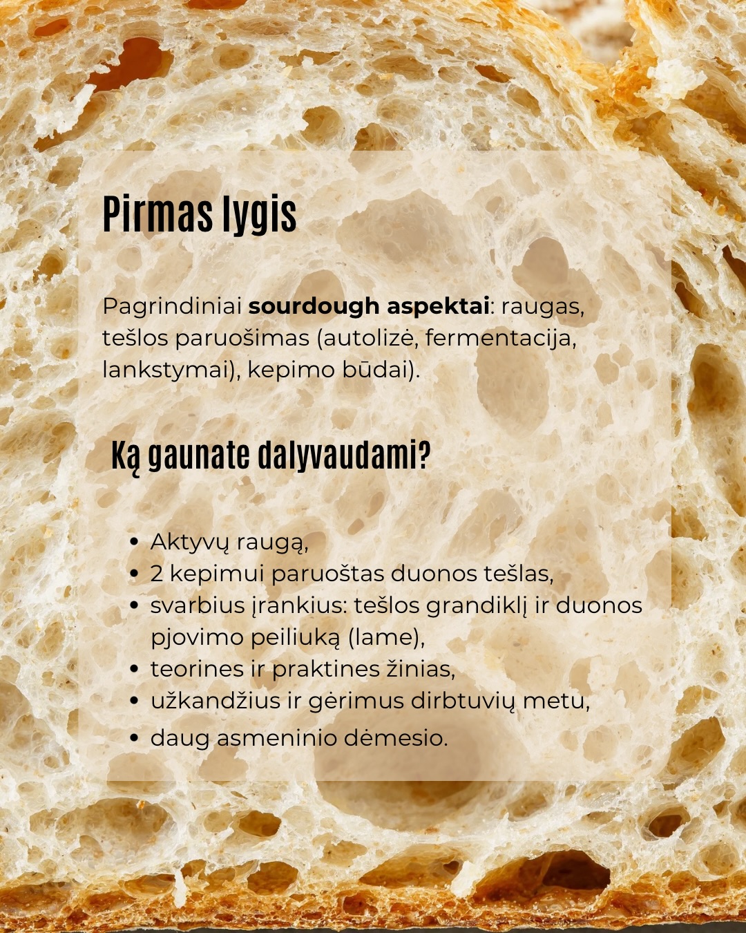Raugas ir duona – mūsų kepyklos širdis. O mokymai – būdas tuo pasidalinti.
Skelbiame kovo mėnesio datas 🙌🏻
🍞 Sourdough duonos mokymai (I lygis) – jei norisi pradėti ramiai, nuo pagrindų, suprasti visą procesą ir susidraugauti su raugu be streso.
🍞 Sourdough duonos mokymai (II lygis) – NAUJIENA ✨
Skirti jau kepantiems ir norintiems išmokti kepti sourdough su priedais ir skirtingų rūšių duonas su raugu.
Abiejose mokymuose dirbame mažoje grupėje (tik 7 vietos), todėl galime skirti dėmesio kiekvienam.
Būna daug klausimų, daug „aha“ momentų ir daug tešlos rankose 🙂
Jei jau kurį laiką galvojate „gal laikas“ – galbūt tas laikas dabar.
Daugiau informacijos ir registraciją rasite: www.pmalunas.lt/mokymai